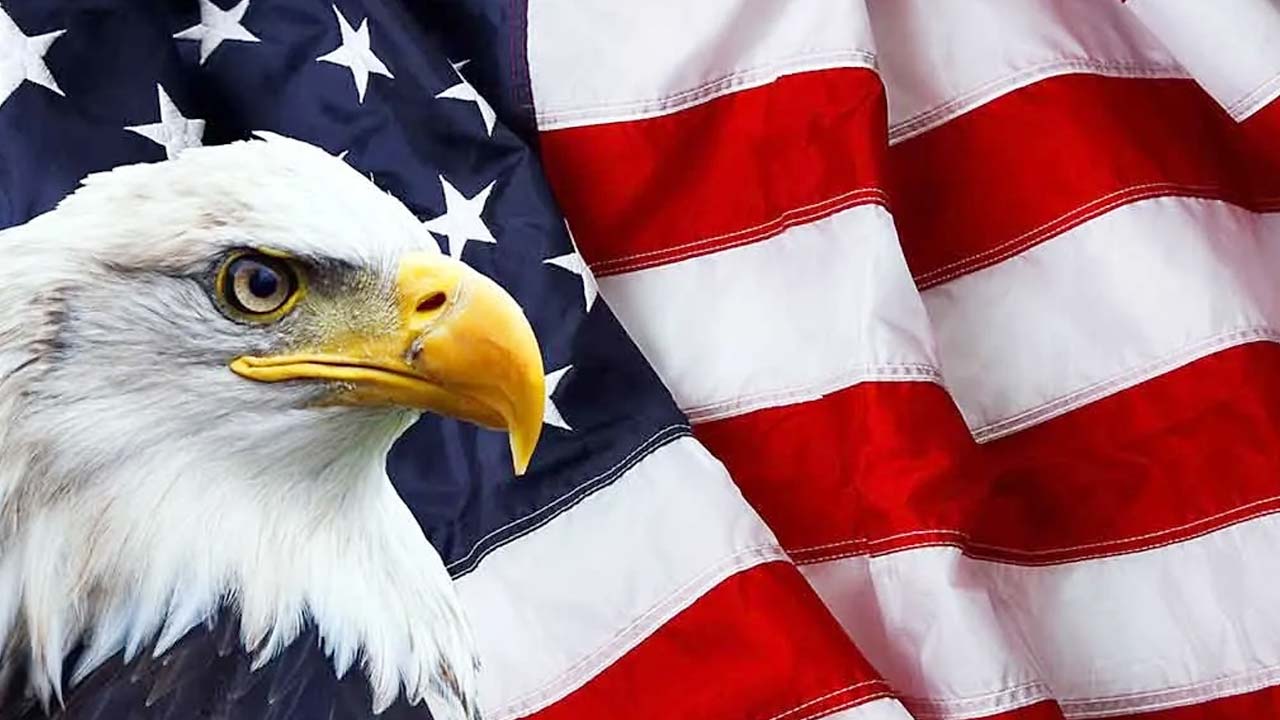 Why Did It Take 240 Years to Officially Declare the Bald Eagle Americas Symbol?