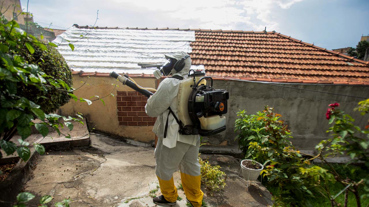 Brazil Reports 5,000 Deaths and 6.4 Million Dengue Cases in 2024