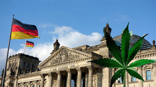 Marijuana Cultivation: Key Decision by the German Parliament