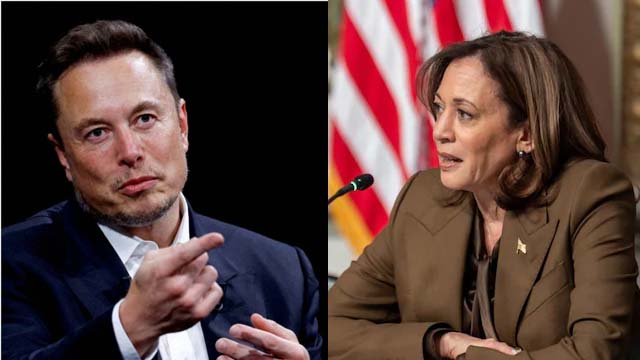 Elon Musk reasons for his comments regarding Kamal Harries