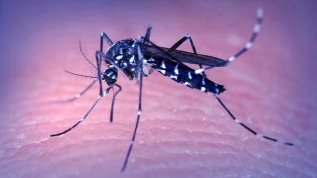 North Dakota Confirms First Human Case of West Nile Virus