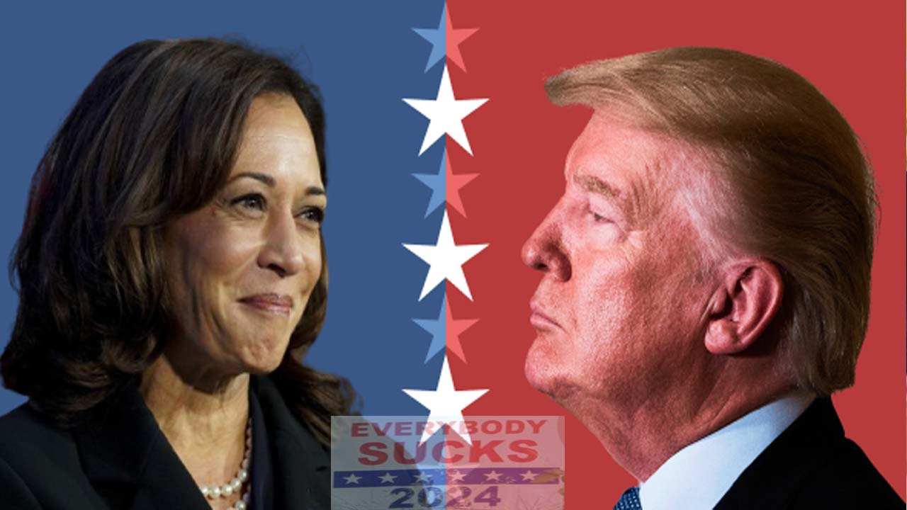 Harris vs. Trump: Elite Power Plays and Voter Impact