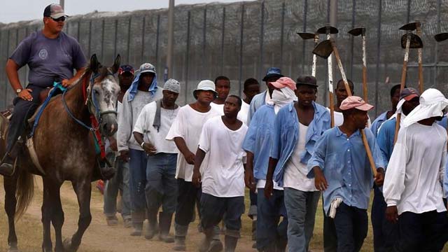  In sweltering heat, Louisiana courts order prison laborers to be protected