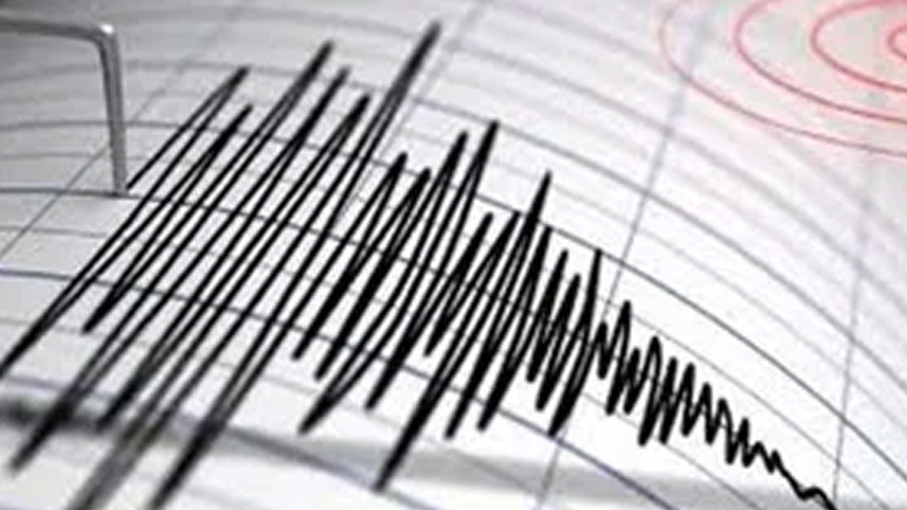 Powerful 6.7 Magnitude Earthquake Strikes New Zealand South Island