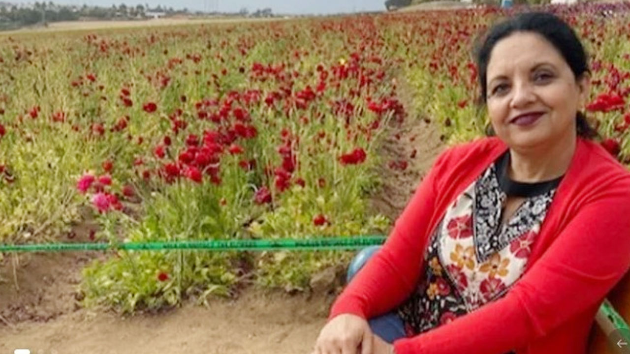 NRI Woman in US for 30+ Years Detained by ICE During Green Card Appointment