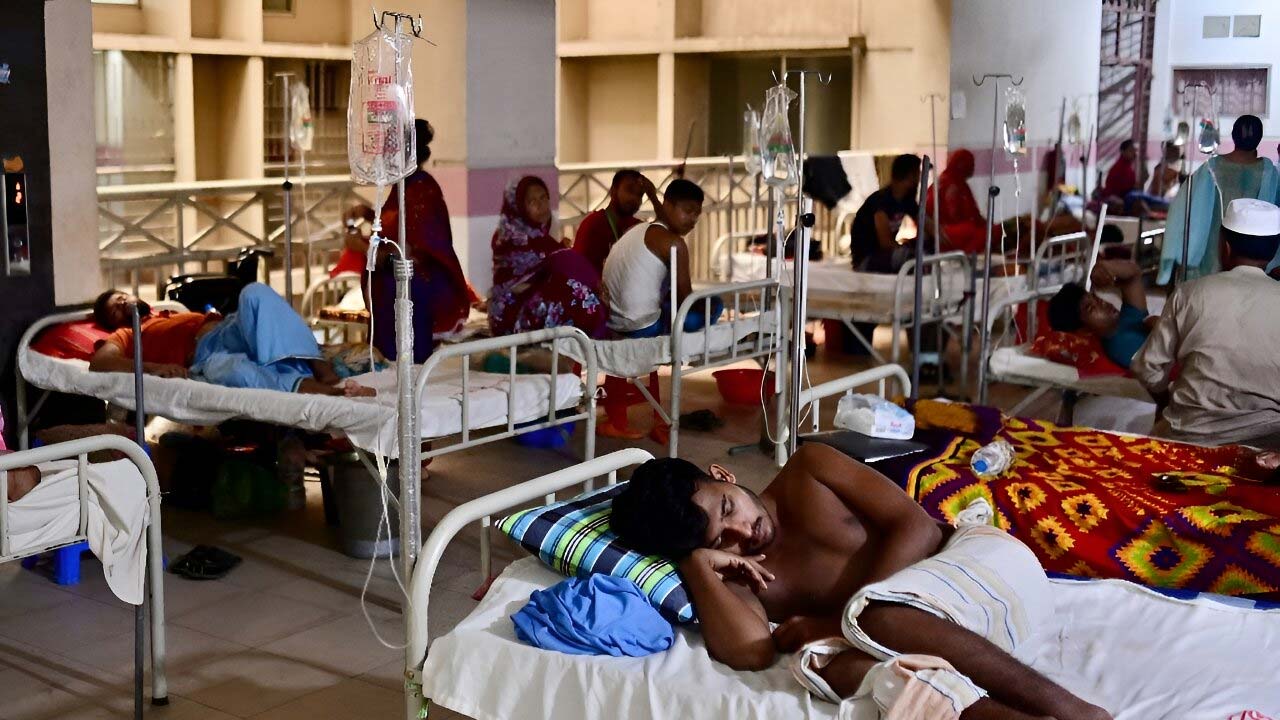 Dhaka Dengue Crisis: 12 Lives Lost Reported In One Day