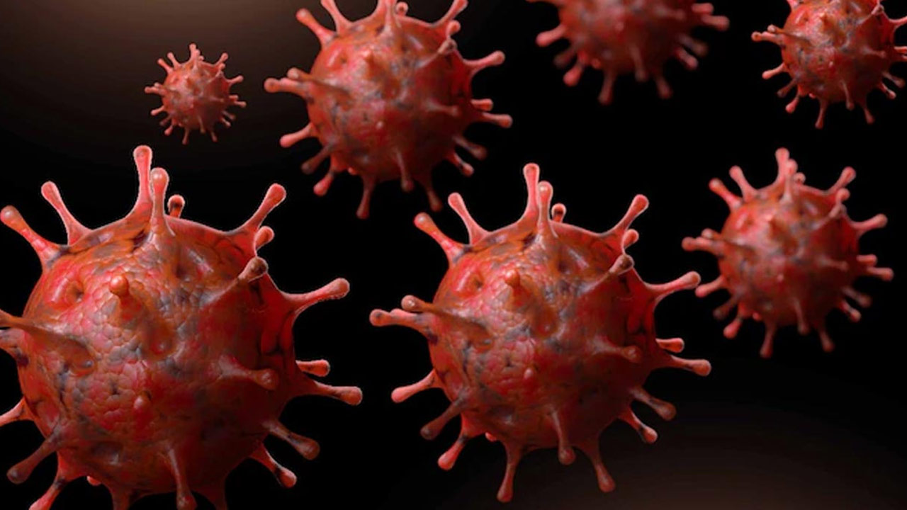 COVID-19 Fear Persists: U.S. Study Reveals Declining Concern Yet Lingering Threat