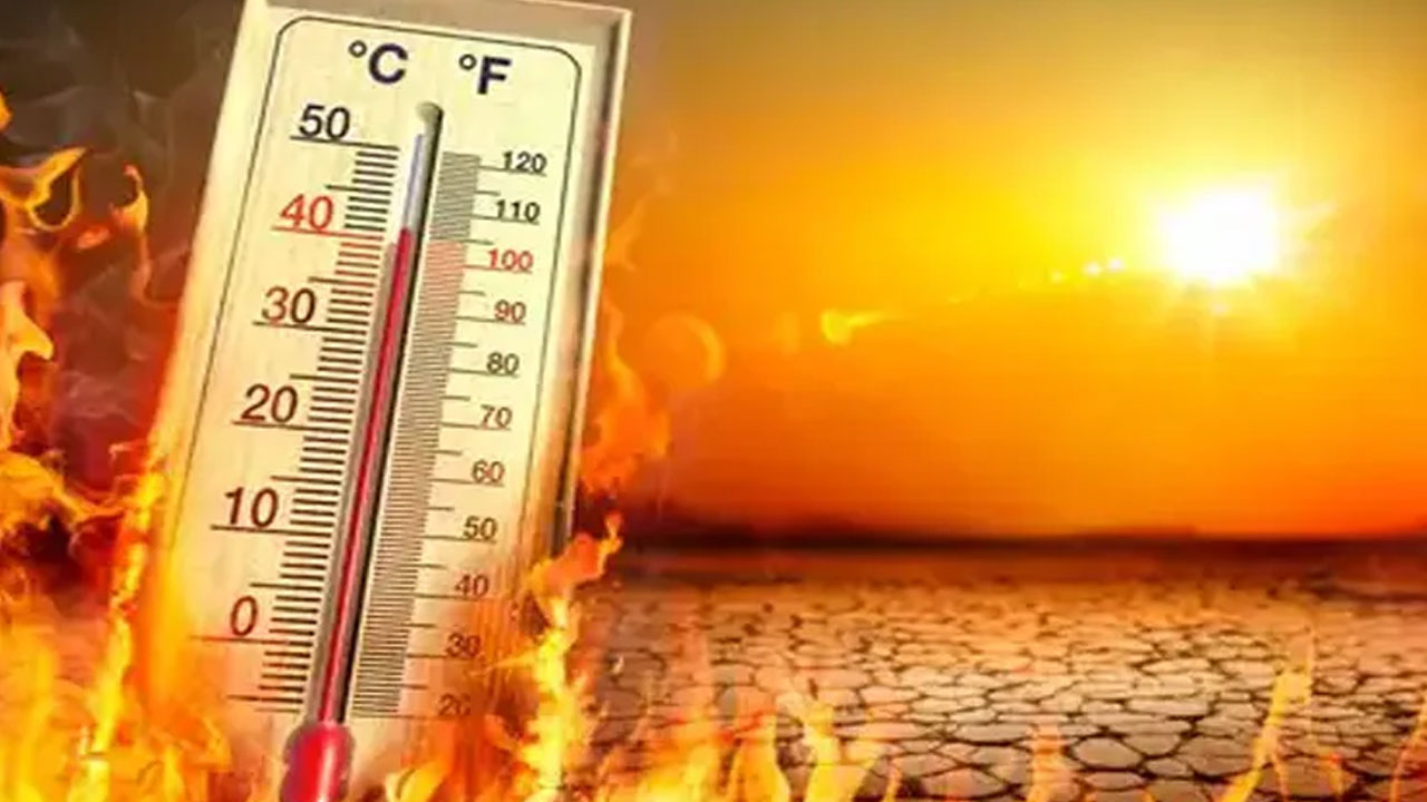 Europe Faces Rising Climate Crisis: Floods, Droughts, and Extreme Heatwave