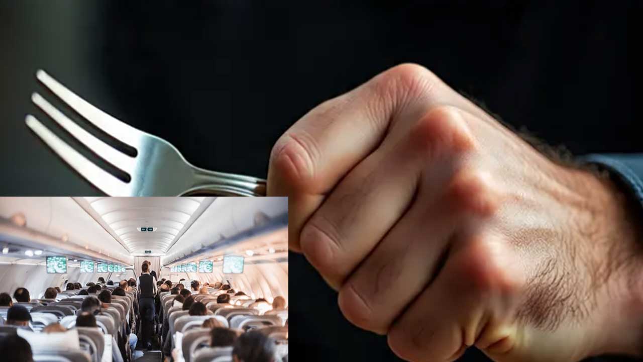 What Made This Indian Student Attack on a Flight?