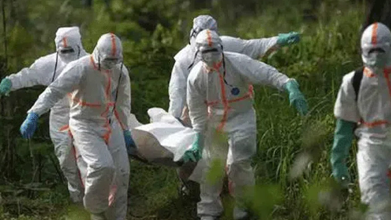 Mysterious Disease in Congo Claims 53 Lives, Authorities on High Alert
