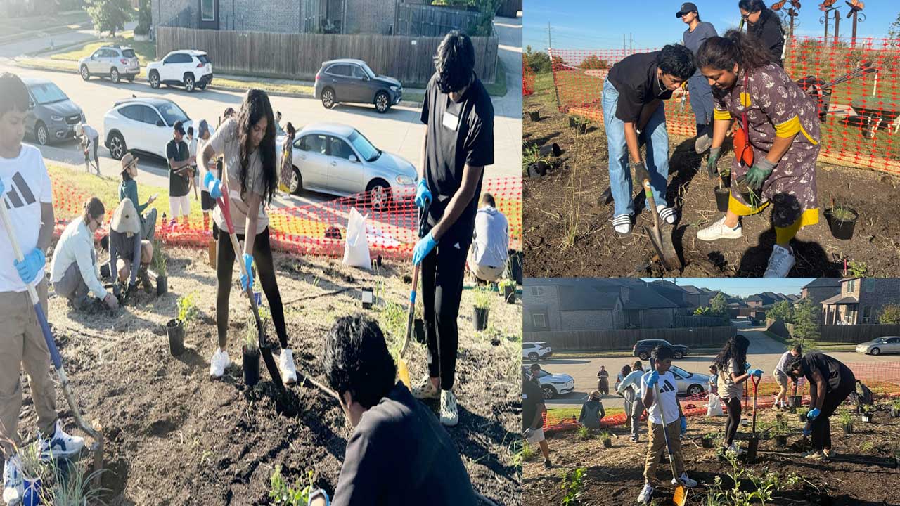 Dallas NATS Chapters Environmental Drive at Monarch Park