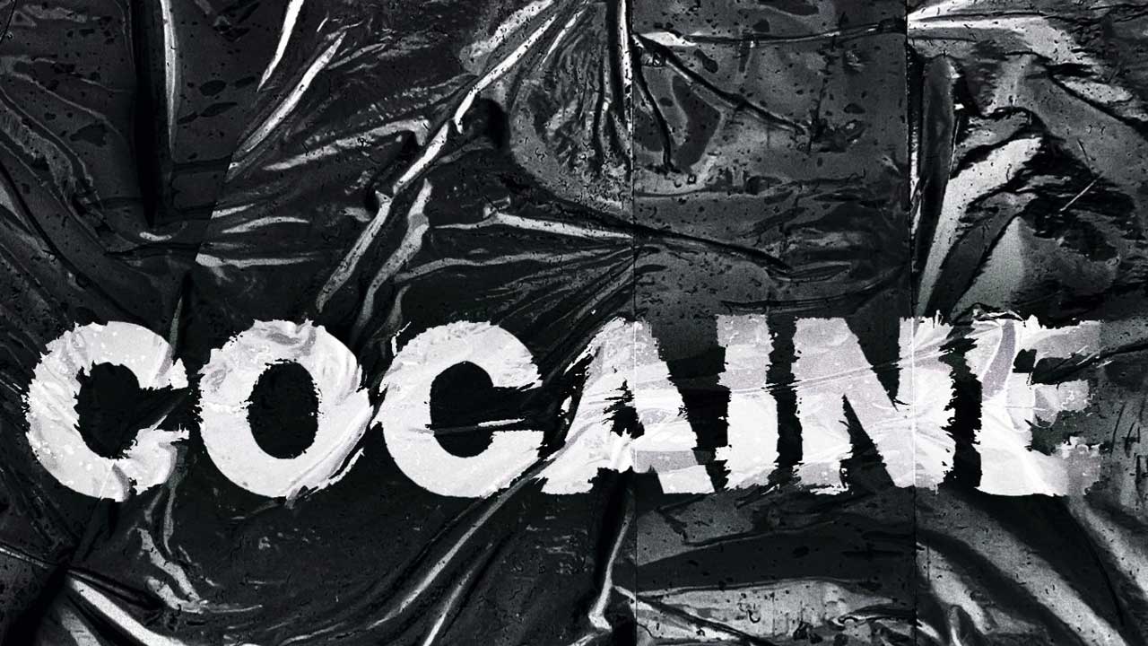 Indian-Origin Driver Arrested with 77 Kg Cocaine in Canada