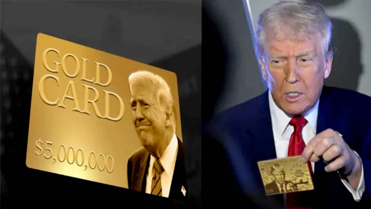 Trump Unveils US Gold Card Website: Who Can Apply, Eligibility And More