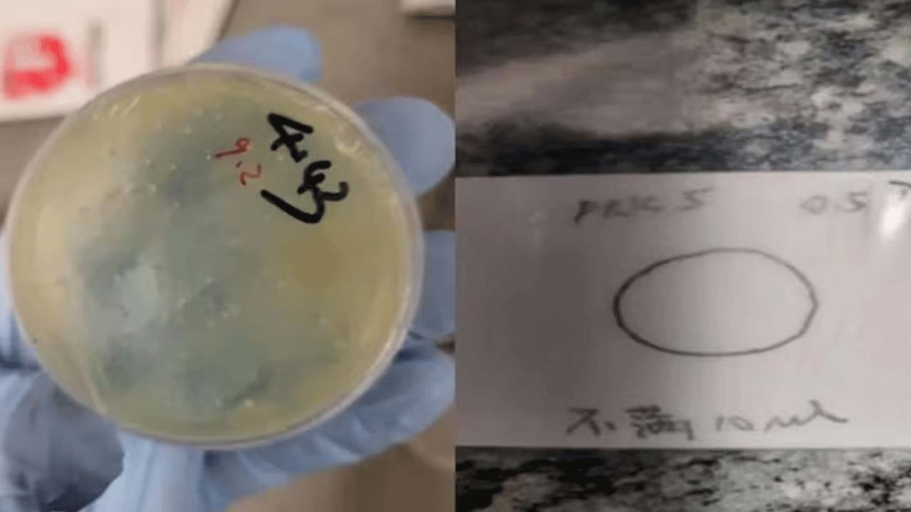 U.S. Arrests Wuhan Researcher for Smuggling Biological Materials Amid Rising Concerns