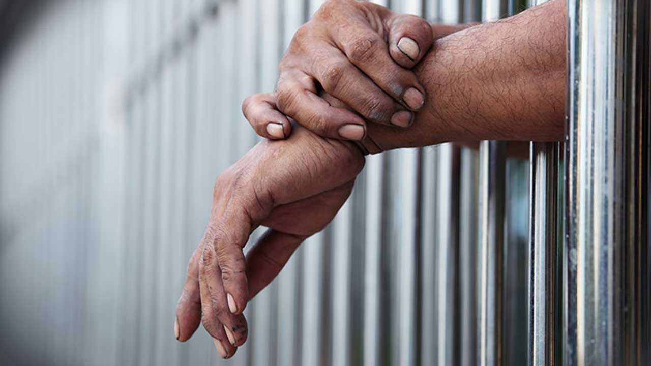 Vadodara Couple Alleges Son Trapped in Thailand, Probe Launched